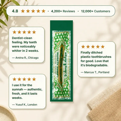 Natural Miswak Toothbrush Stick