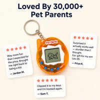 Virtual Pet Keychain Game