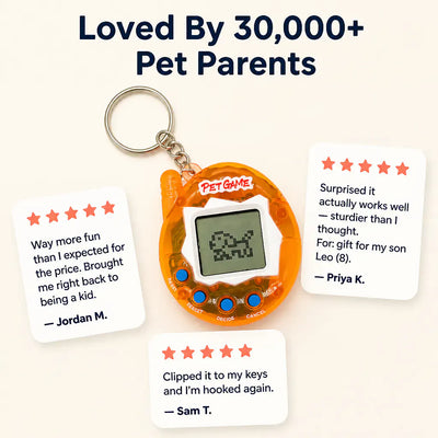 Virtual Pet Keychain Game 2