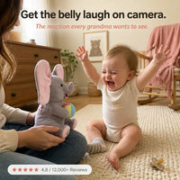 Hide-and-Seek Elephant Plush