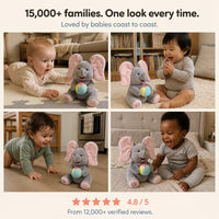 Hide-and-Seek Elephant Plush