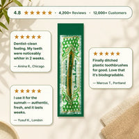 Natural Miswak Toothbrush Stick
