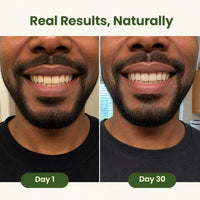 Natural Miswak Toothbrush Stick
